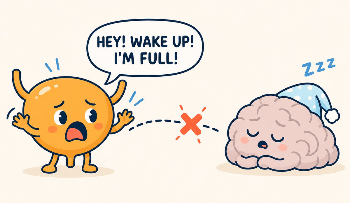 Cartoon: the bladder shouts 'Hey! Wake up! I'm full!' but the sleeping brain doesn't hear it